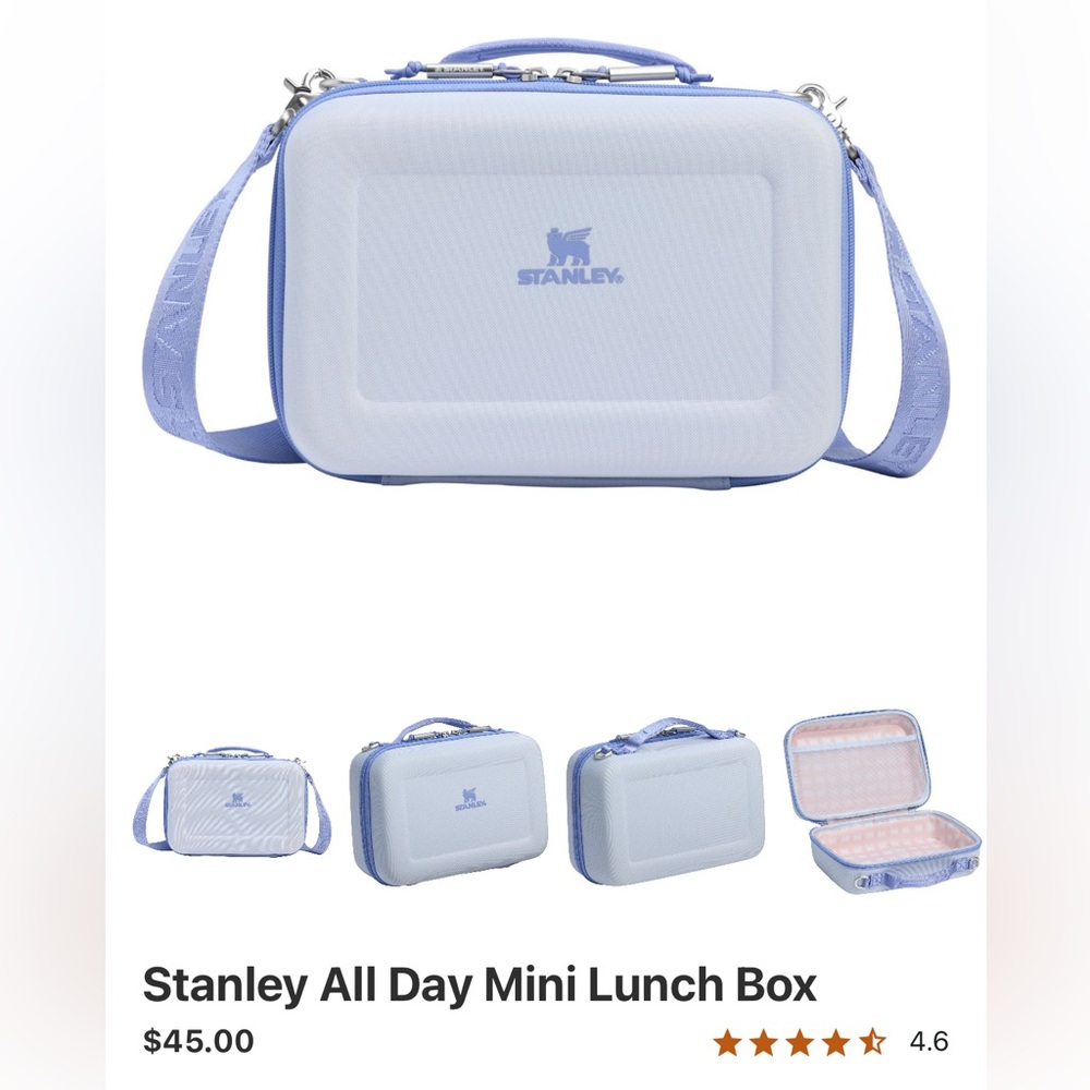 Stanley All Day Mini Lunch Box in Dew Drop